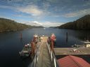 ./images/calvert/dock/20200902/dock20200902_154502.jpg