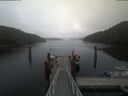 ./images/calvert/dock/20200906/dock20200906_105504.jpg