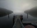 ./images/calvert/dock/20200911/dock20200911_100502.jpg