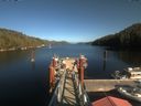 ./images/calvert/dock/20200911/dock20200911_155003.jpg