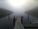 ./images/calvert/dock/20201003/dock20201003_075504.jpg