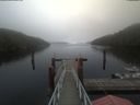 ./images/calvert/dock/20201003/dock20201003_113002.jpg