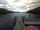 ./images/calvert/dock/20201106/dock20201106_133003.jpg