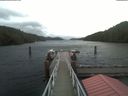 ./images/calvert/dock/20201112/dock20201112_084504.jpg