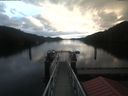 ./images/calvert/dock/20201113/dock20201113_084003.jpg