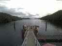 ./images/calvert/dock/20201207/dock20201207_111002.jpg