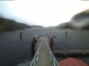 ./images/calvert/dock/20201215/dock20201215_092004.jpg