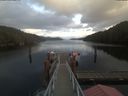 ./images/calvert/dock/20201220/dock20201220_140501.jpg