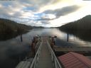 ./images/calvert/dock/20201227/dock20201227_113504.jpg