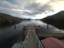 ./images/calvert/dock/20201227/dock20201227_115001.jpg