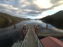 ./images/calvert/dock/20201227/dock20201227_120002.jpg