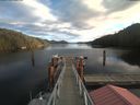 ./images/calvert/dock/20201227/dock20201227_124003.jpg