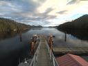 ./images/calvert/dock/20201227/dock20201227_124503.jpg