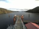 ./images/calvert/dock/20210103/dock20210103_141504.jpg
