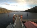 ./images/calvert/dock/20210103/dock20210103_150002.jpg