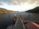 ./images/calvert/dock/20210103/dock20210103_151004.jpg