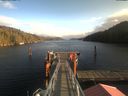 ./images/calvert/dock/20210104/dock20210104_130504.jpg