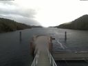 ./images/calvert/dock/20210109/dock20210109_141004.jpg