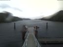./images/calvert/dock/20210110/dock20210110_145502.jpg