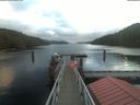 ./images/calvert/dock/20210111/dock20210111_093001.jpg