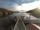 ./images/calvert/dock/20210125/dock20210125_105004.jpg