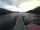 ./images/calvert/dock/20210126/dock20210126_122503.jpg