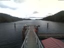 ./images/calvert/dock/20210131/dock20210131_124503.jpg