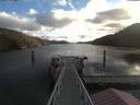 ./images/calvert/dock/20210207/dock20210207_105501.jpg