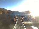 ./images/calvert/dock/20210211/dock20210211_093504.jpg