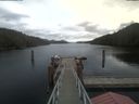./images/calvert/dock/20210216/dock20210216_134503.jpg