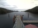 ./images/calvert/dock/20210316/dock20210316_172504.jpg