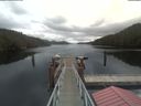 ./images/calvert/dock/20210326/dock20210326_105502.jpg