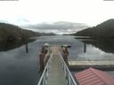 ./images/calvert/dock/20210326/dock20210326_112003.jpg