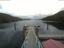./images/calvert/dock/20210326/dock20210326_131001.jpg
