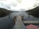 ./images/calvert/dock/20210326/dock20210326_133504.jpg
