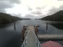 ./images/calvert/dock/20210326/dock20210326_140004.jpg