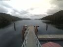 ./images/calvert/dock/20210326/dock20210326_141504.jpg