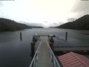 ./images/calvert/dock/20210327/dock20210327_132504.jpg