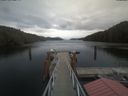 ./images/calvert/dock/20210331/dock20210331_165002.jpg