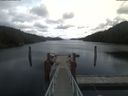 ./images/calvert/dock/20210401/dock20210401_133003.jpg