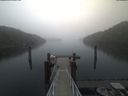 ./images/calvert/dock/20210403/dock20210403_111502.jpg