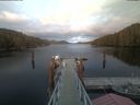 ./images/calvert/dock/20210404/dock20210404_201004.jpg