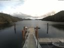 ./images/calvert/dock/20210406/dock20210406_135002.jpg