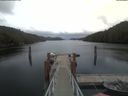 ./images/calvert/dock/20210406/dock20210406_193004.jpg
