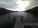 ./images/calvert/dock/20210408/dock20210408_162503.jpg