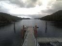 ./images/calvert/dock/20210408/dock20210408_163503.jpg