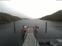 ./images/calvert/dock/20210409/dock20210409_173502.jpg