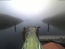 ./images/calvert/dock/20210420/dock20210420_061002.jpg