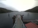 ./images/calvert/dock/20210429/dock20210429_165002.jpg