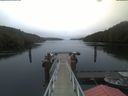 ./images/calvert/dock/20210430/dock20210430_061504.jpg